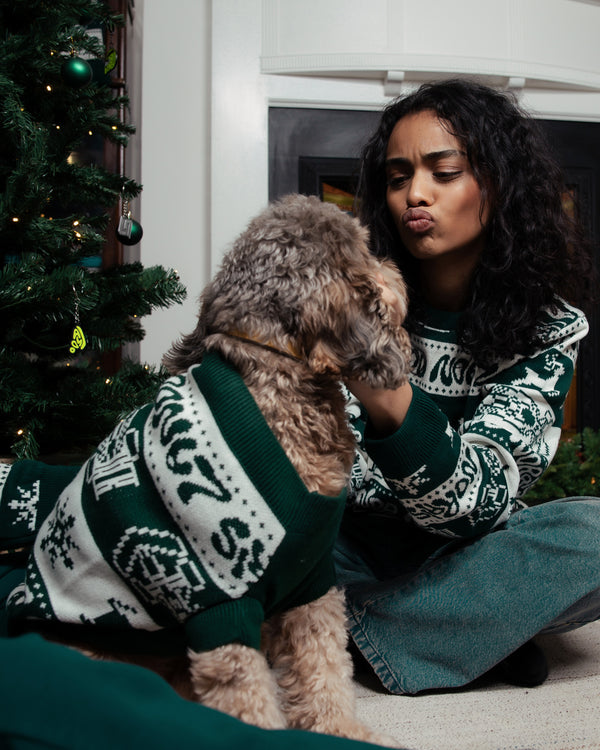 HOLIDAY PET JUMPER