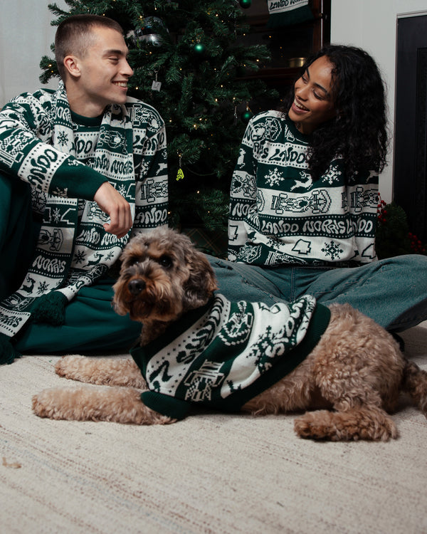 HOLIDAY PET JUMPER