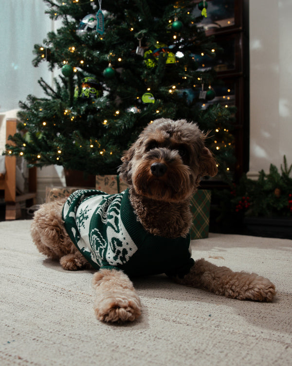HOLIDAY PET JUMPER